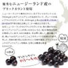 ブラックカラントマヌカ 250g [MGO100（MGS5+相当）/マヌカハニーとブラックカラント（カシス）の健康コラボレーション]