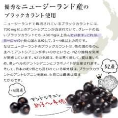 ブラックカラントマヌカ 250g [MGO100（MGS5+相当）/マヌカハニーとブラックカラント（カシス）の健康コラボレーション]