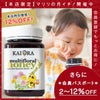今なら10%OFF！ 生 はちみつ 蜂蜜 ハチミツ 非加熱 キッズマルチフローラルハニー 百花蜜 500g 1本 安心のNZ産 無添加 【本店限定！会員パスポートでさらに最大12％OFF】